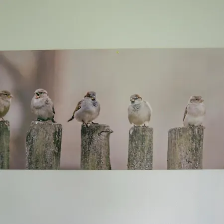 Alpehytte De Huismus Heiloo