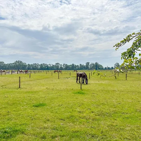 De Huismus Alpehytte Heiloo