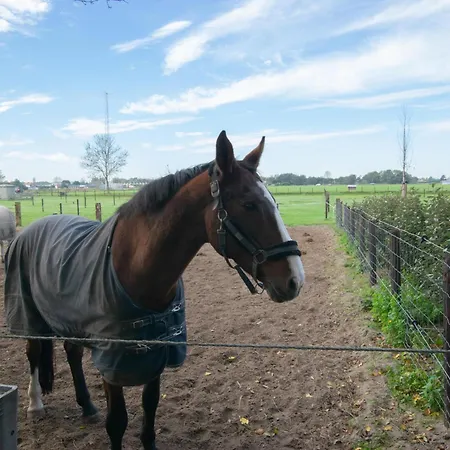 Alpehytte De Huismus *