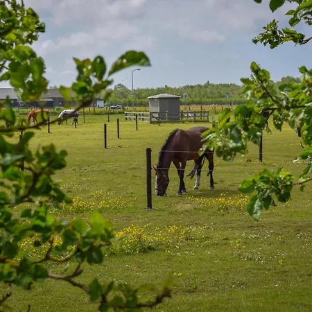 De Huismus Alpehytte Heiloo