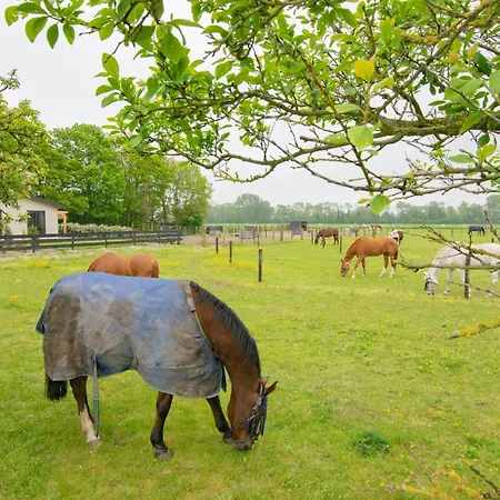 Alpehytte De Huismus