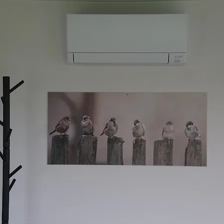 Chalet De Huismus Heiloo