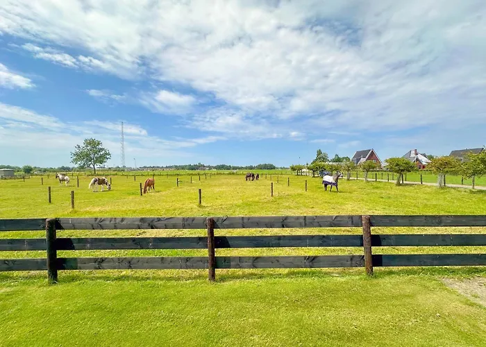 Chalet De Huismus Heiloo