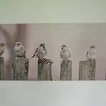 Шале De Huismus Хейло